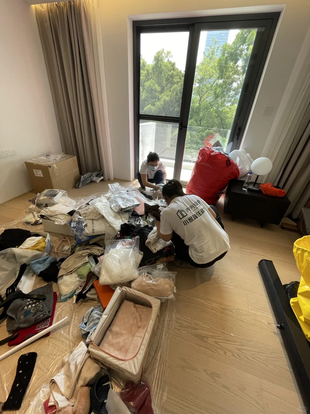 南山别墅整理进行中，小姐姐从上海穿越深圳