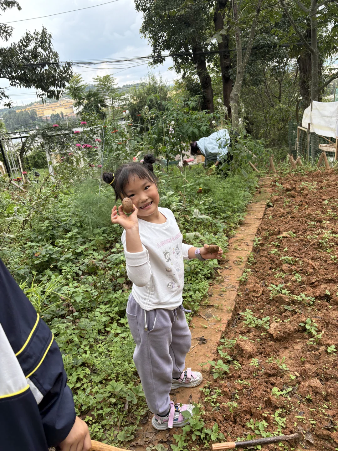 玉溪周边研学活动，石头彩绘