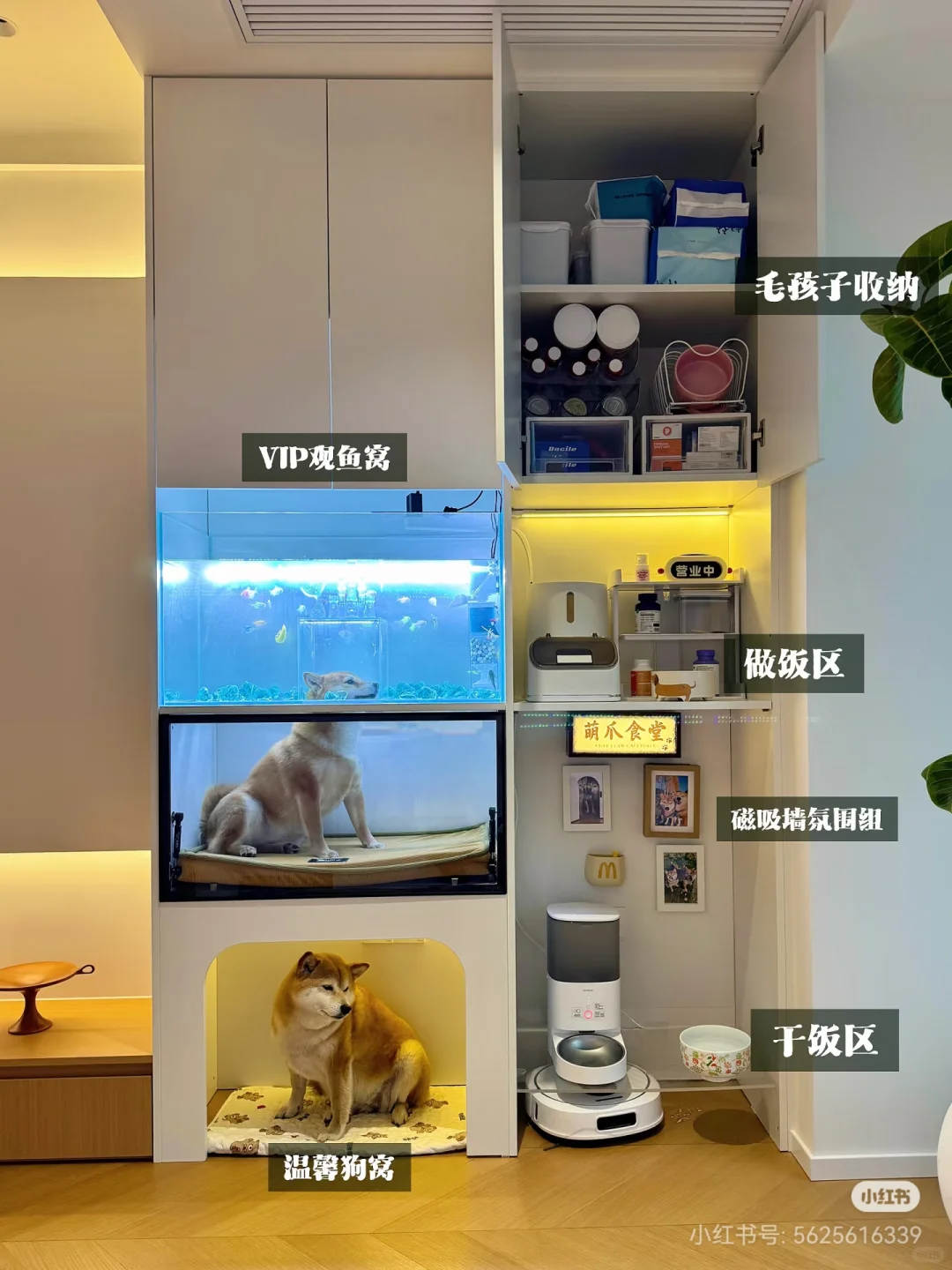 为狗狗设计的家中小角落