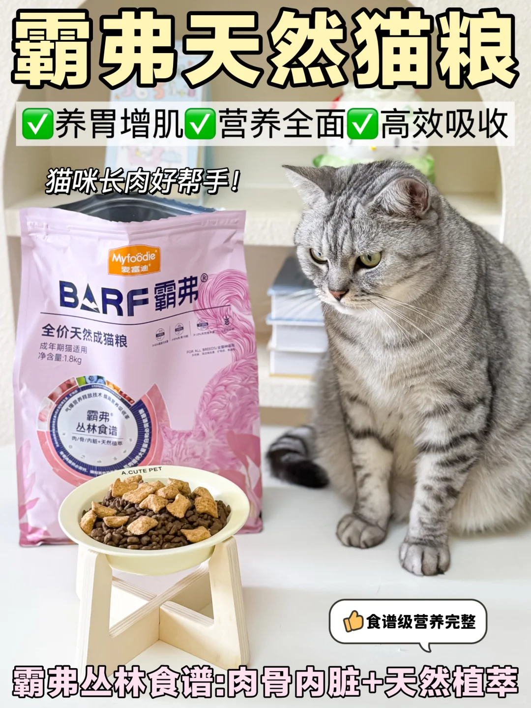 猫咪太瘦不好看❓两步让小猫轻松长肉发腮!