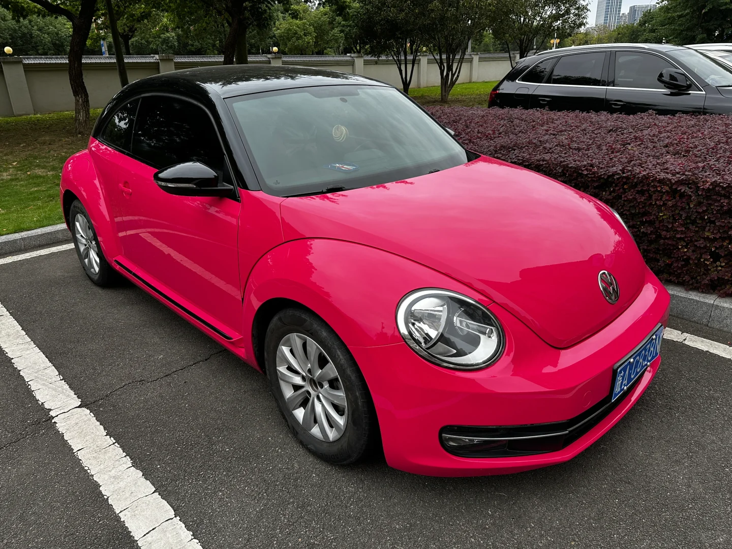 4w+网购甲壳虫持续升级…