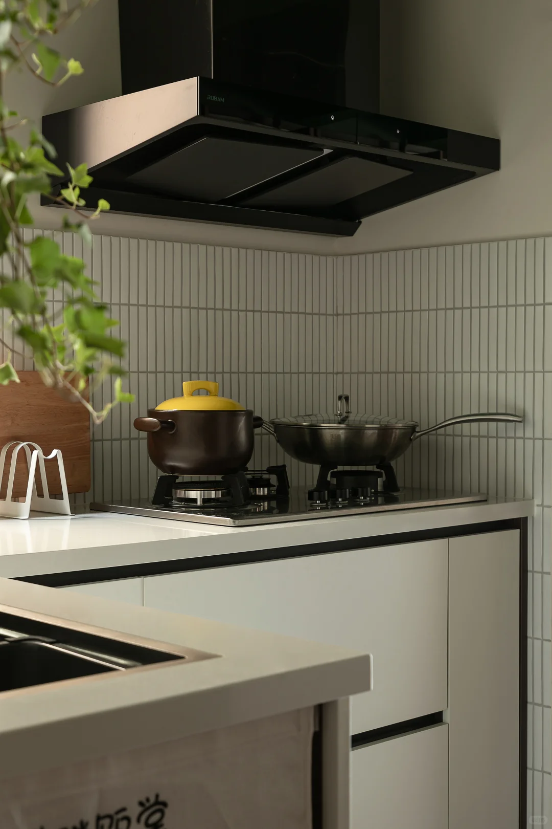 老公房逆袭！一人两猫的森系混搭共生小家