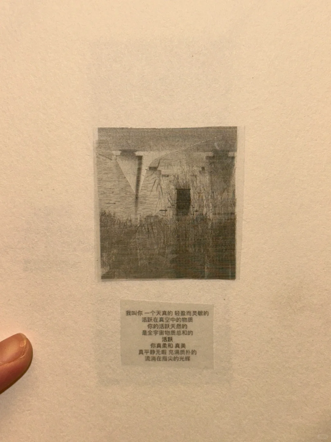 这个世界是一个巨大的咕咕机