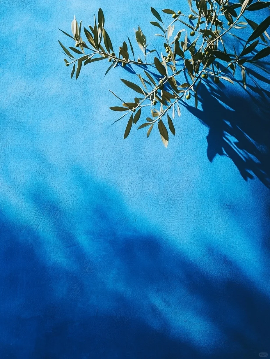 审美积累｜当色彩在光影里相遇