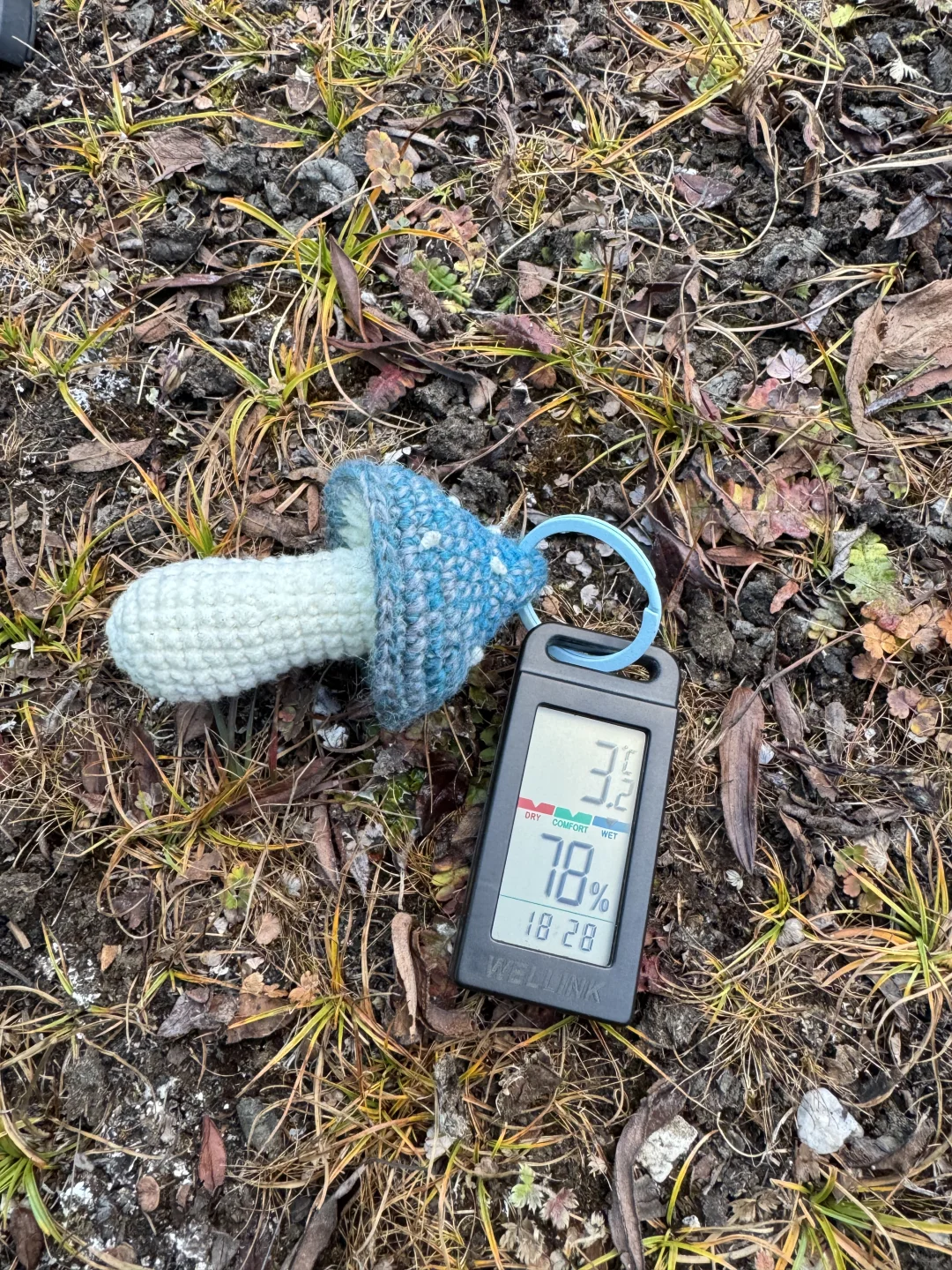 户外徒步为什么带温度计?️