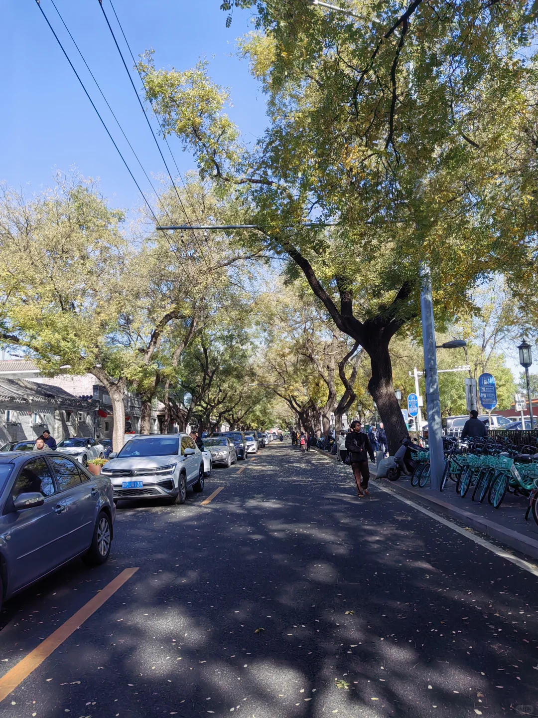 城市通勤利器，伯希和冲锋衣的体面守护