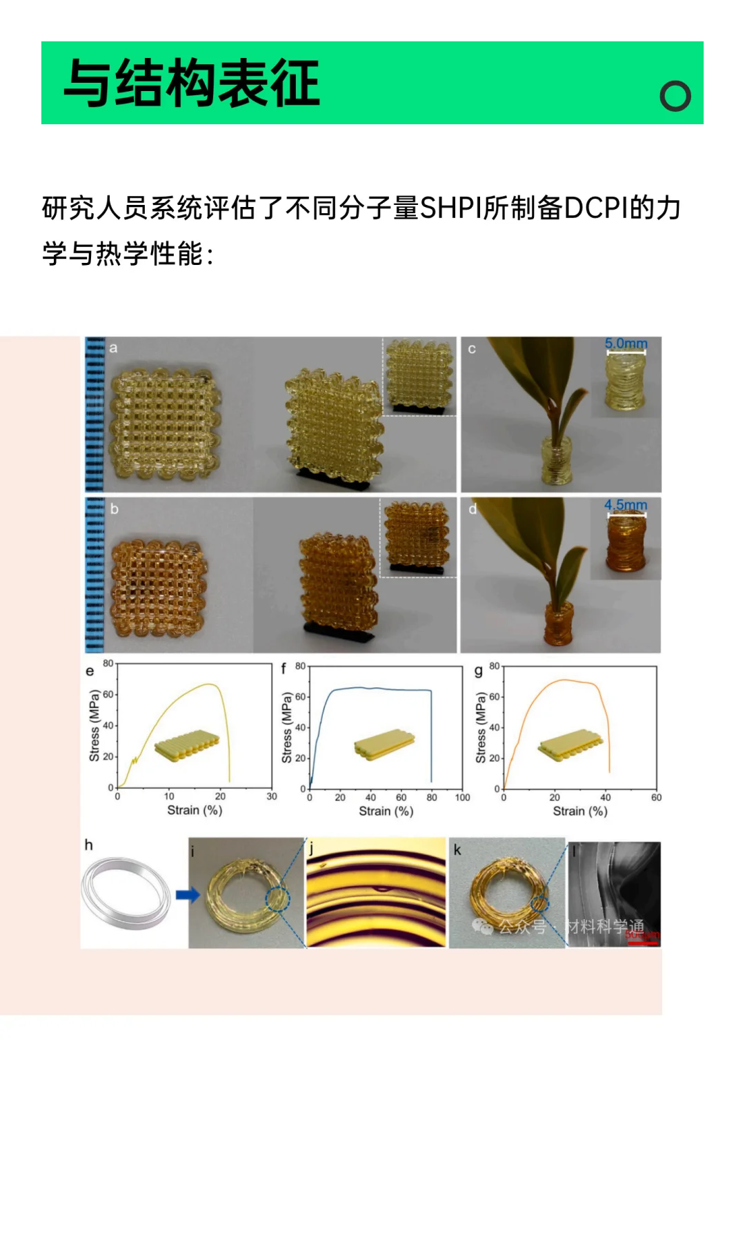 基于动态硼氧烷网络的“卡扣式”策略实现高