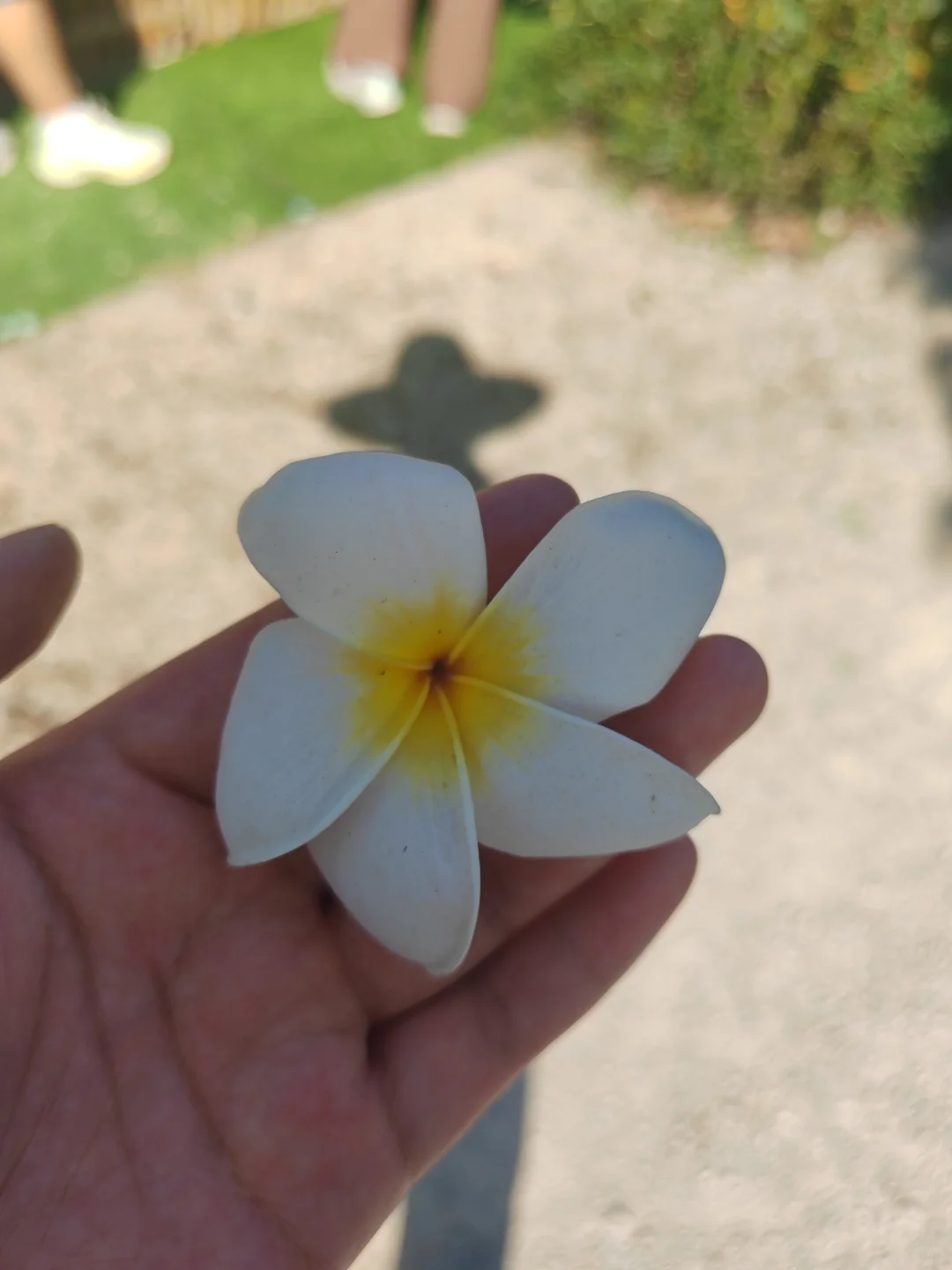 “听袁爷爷的话,好好吃饭,好好长大”