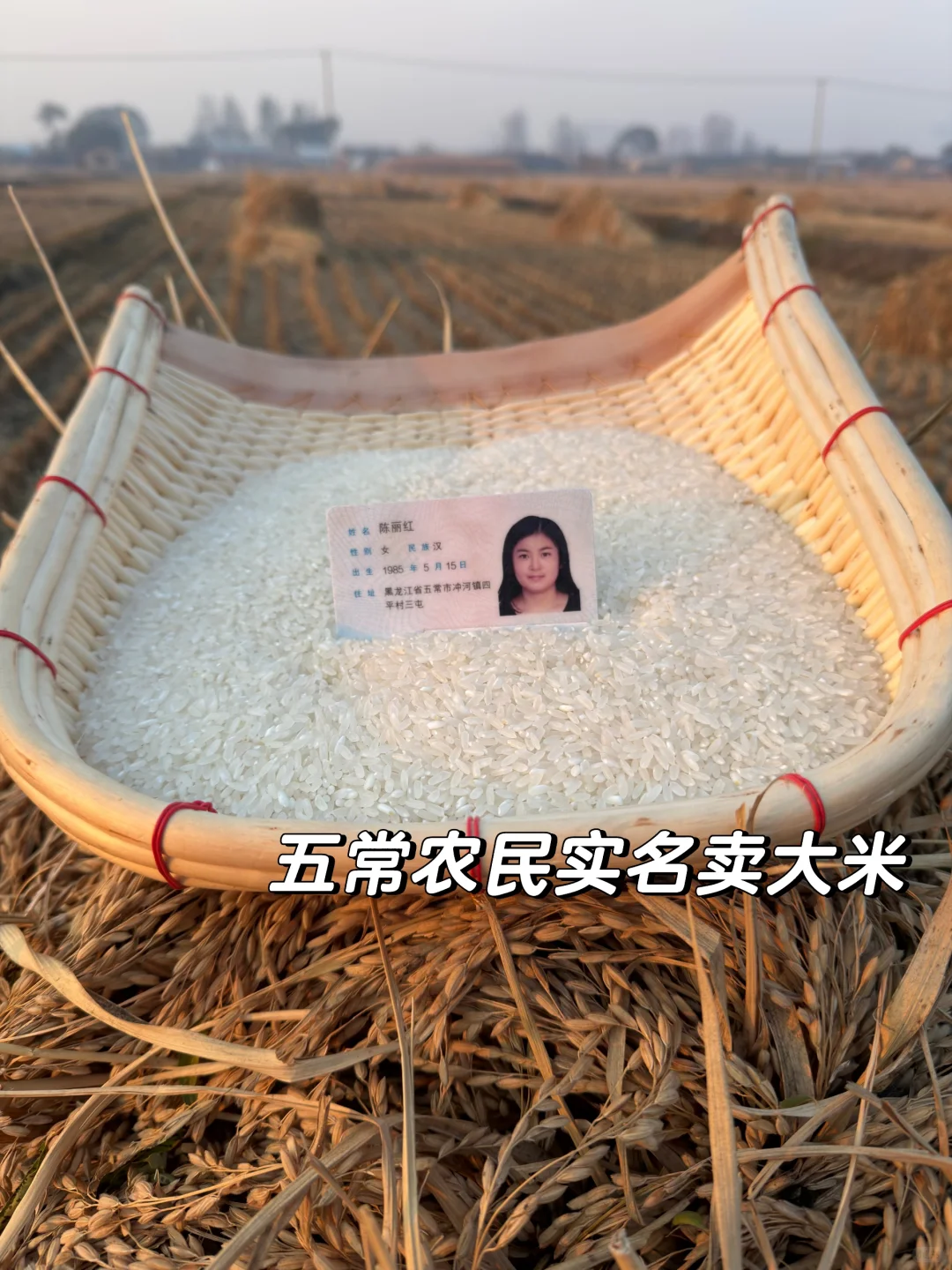 25年新米上市?5斤试吃装,原产地发货!