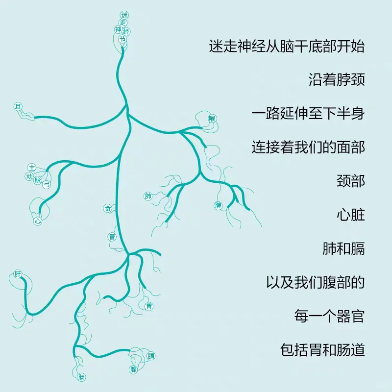 原来这么简单，对抗蕉绿的开关藏在身体里
