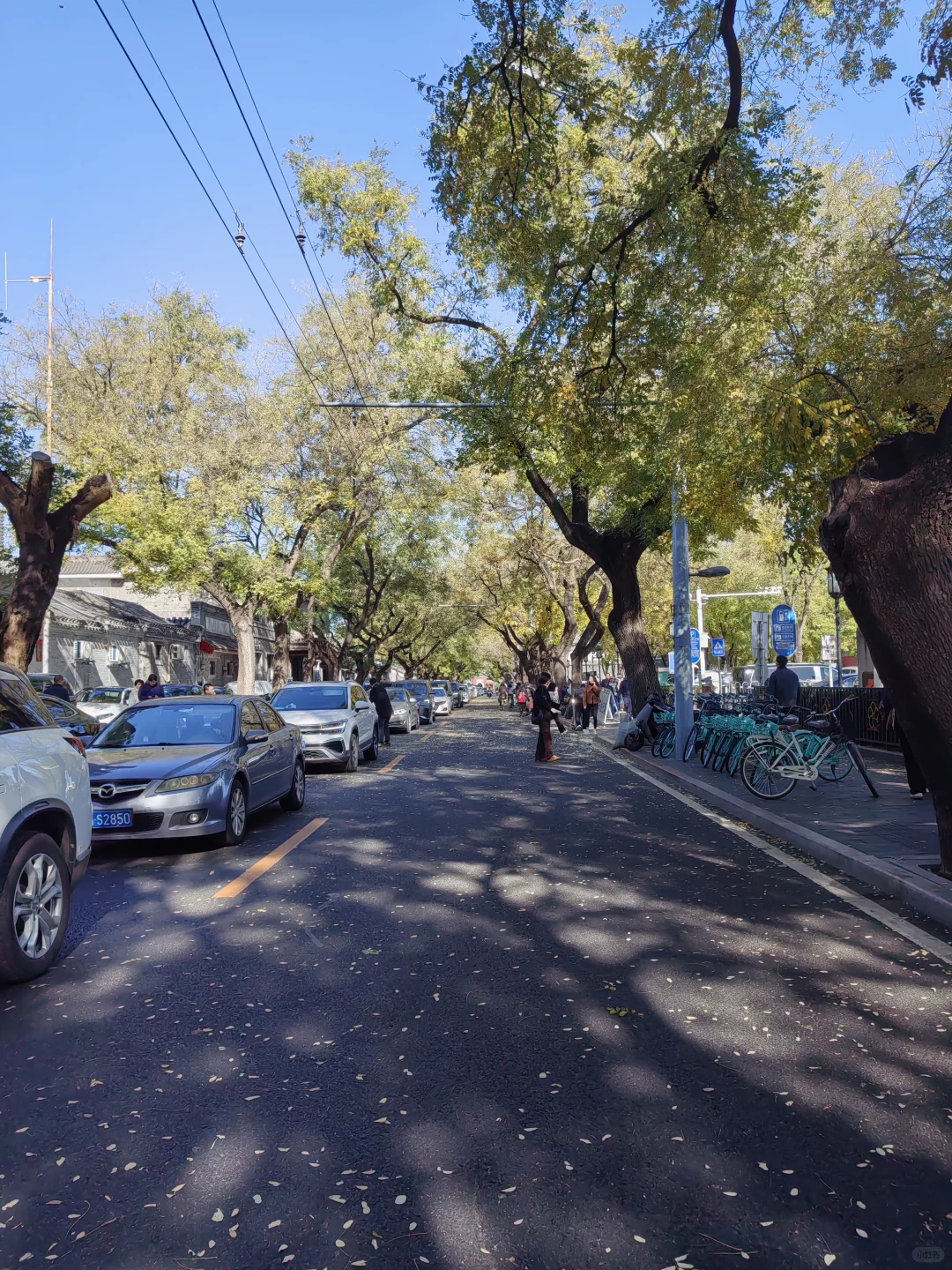 城市通勤利器，伯希和冲锋衣的体面守护