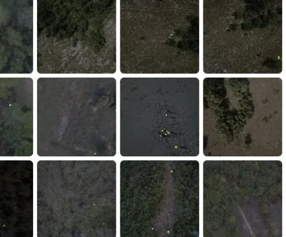 无人机巡检航拍搜救数据集 无人机人体检测