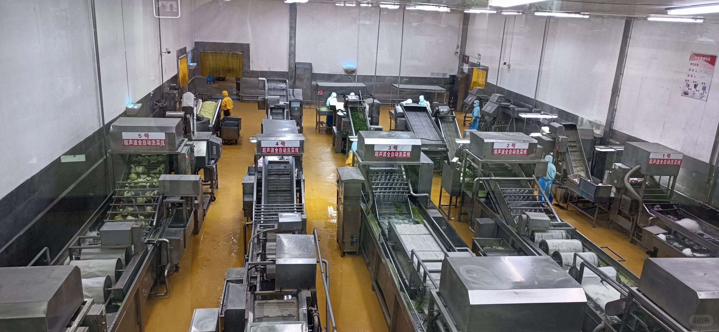 饺子汤圆能自动化生产，粽子需要人工包