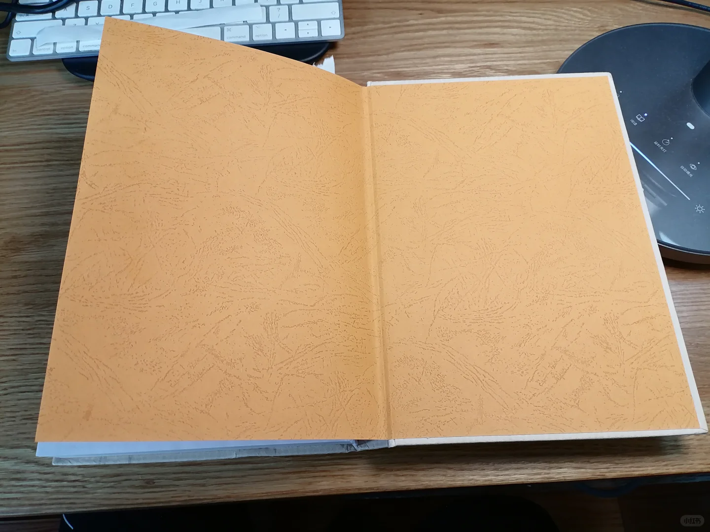 图书的环衬与书芯