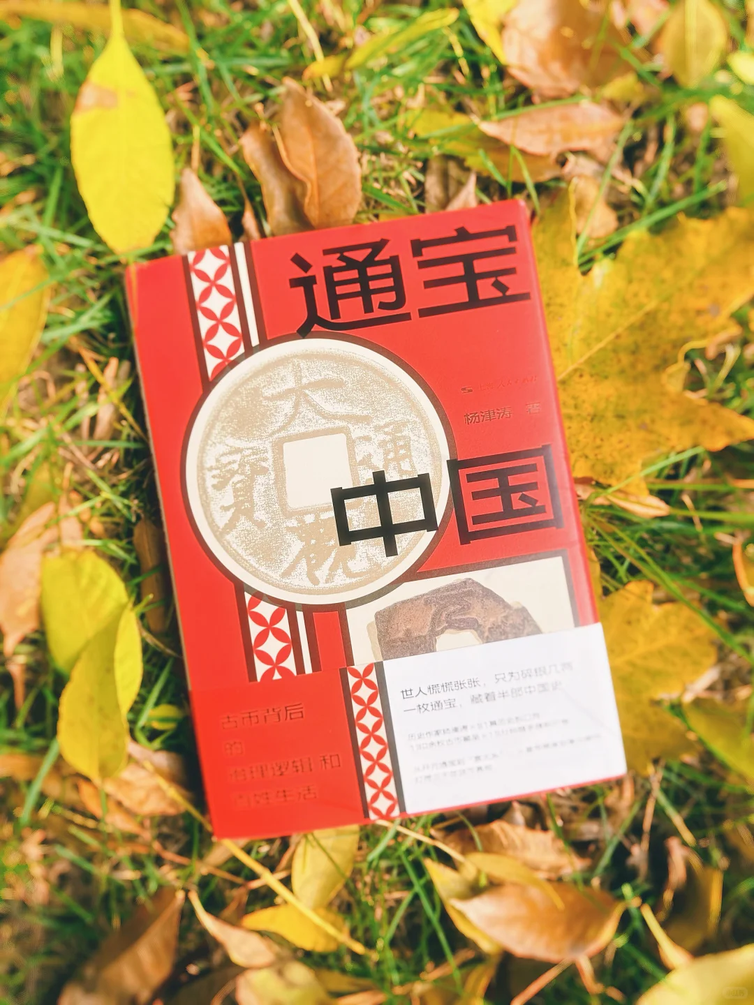 ?三千年货币史,读这本就够了❗️