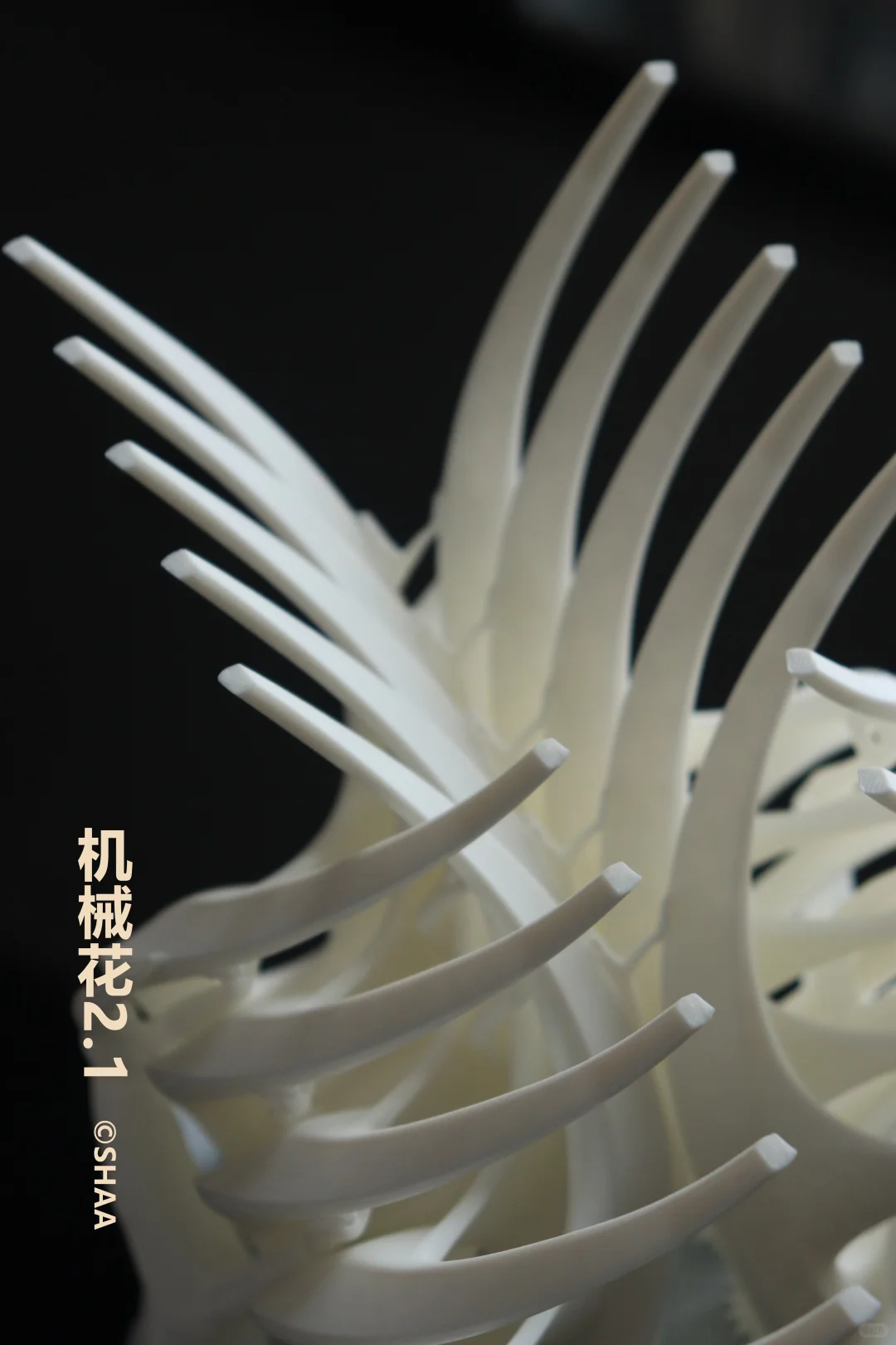 这打印出来简直就是艺术品