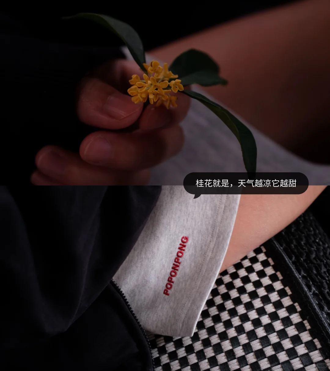 “击球是想象的延伸”