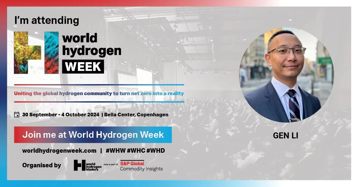 在世界氢能大会上讲电气