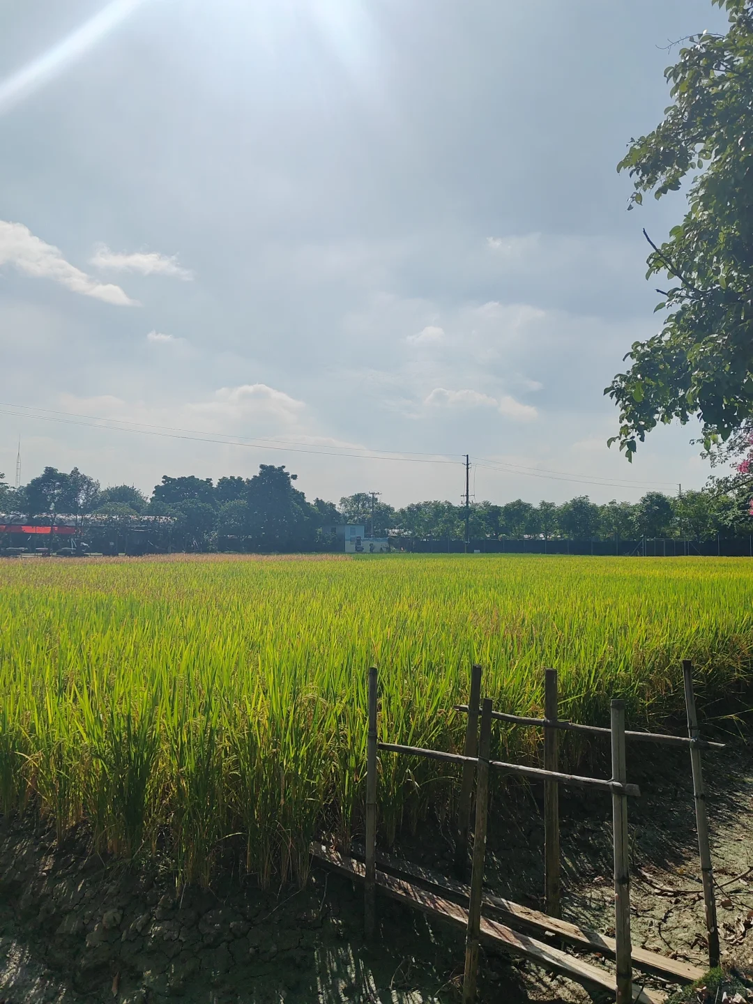 “听袁爷爷的话,好好吃饭,好好长大”