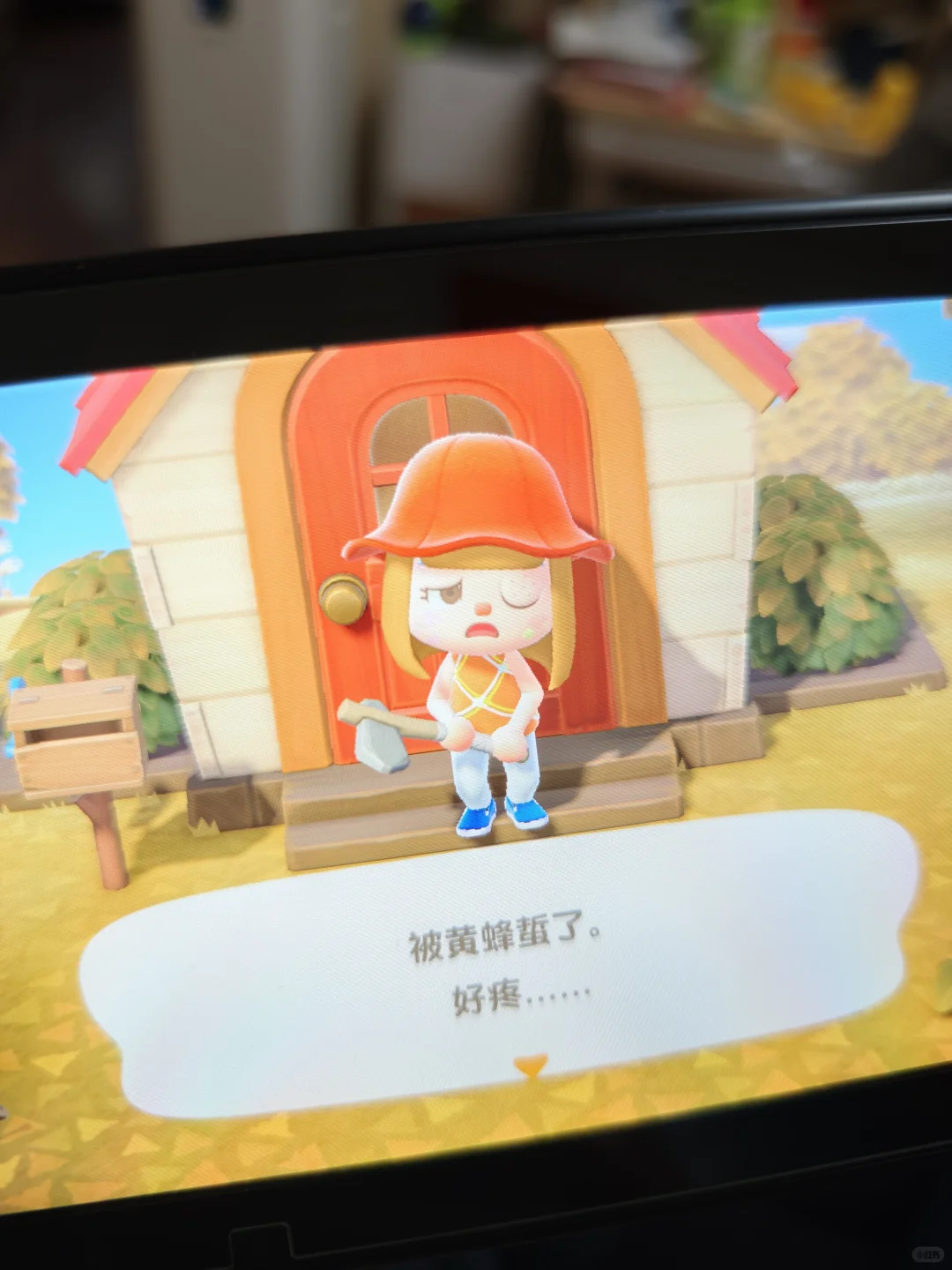 动森第二天这岛布局还行吗？