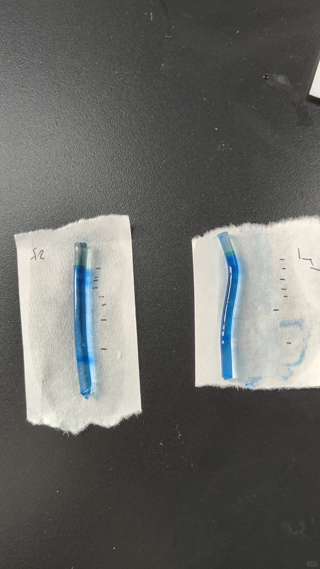 聚丙烯酰胺凝胶圆盘电泳