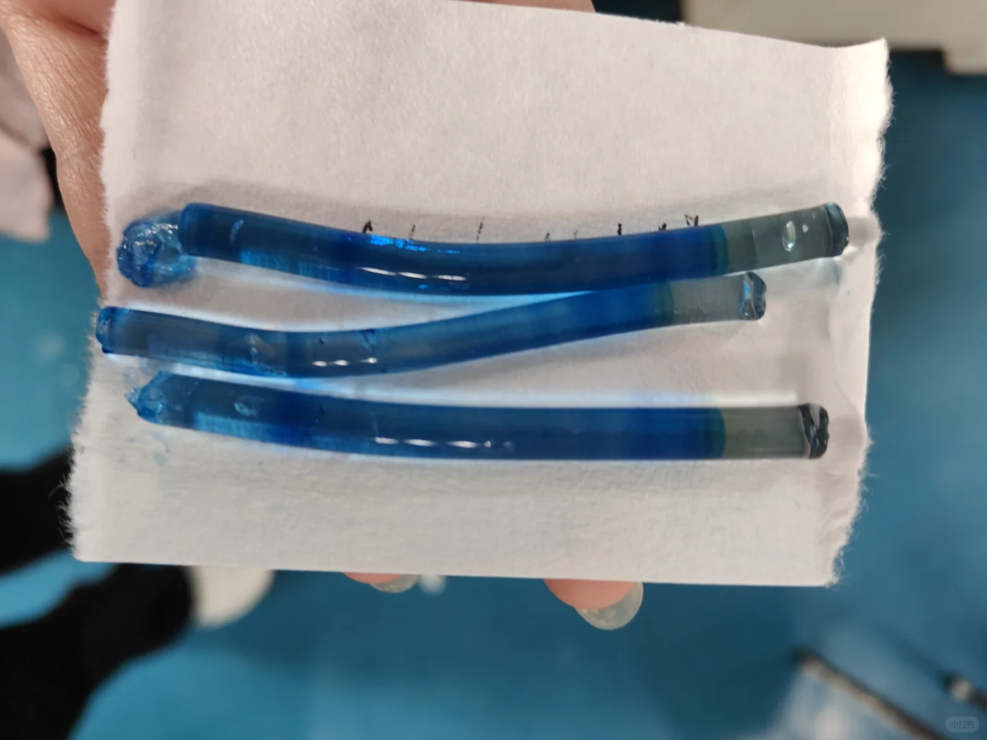 聚丙烯酰胺凝胶圆盘电泳