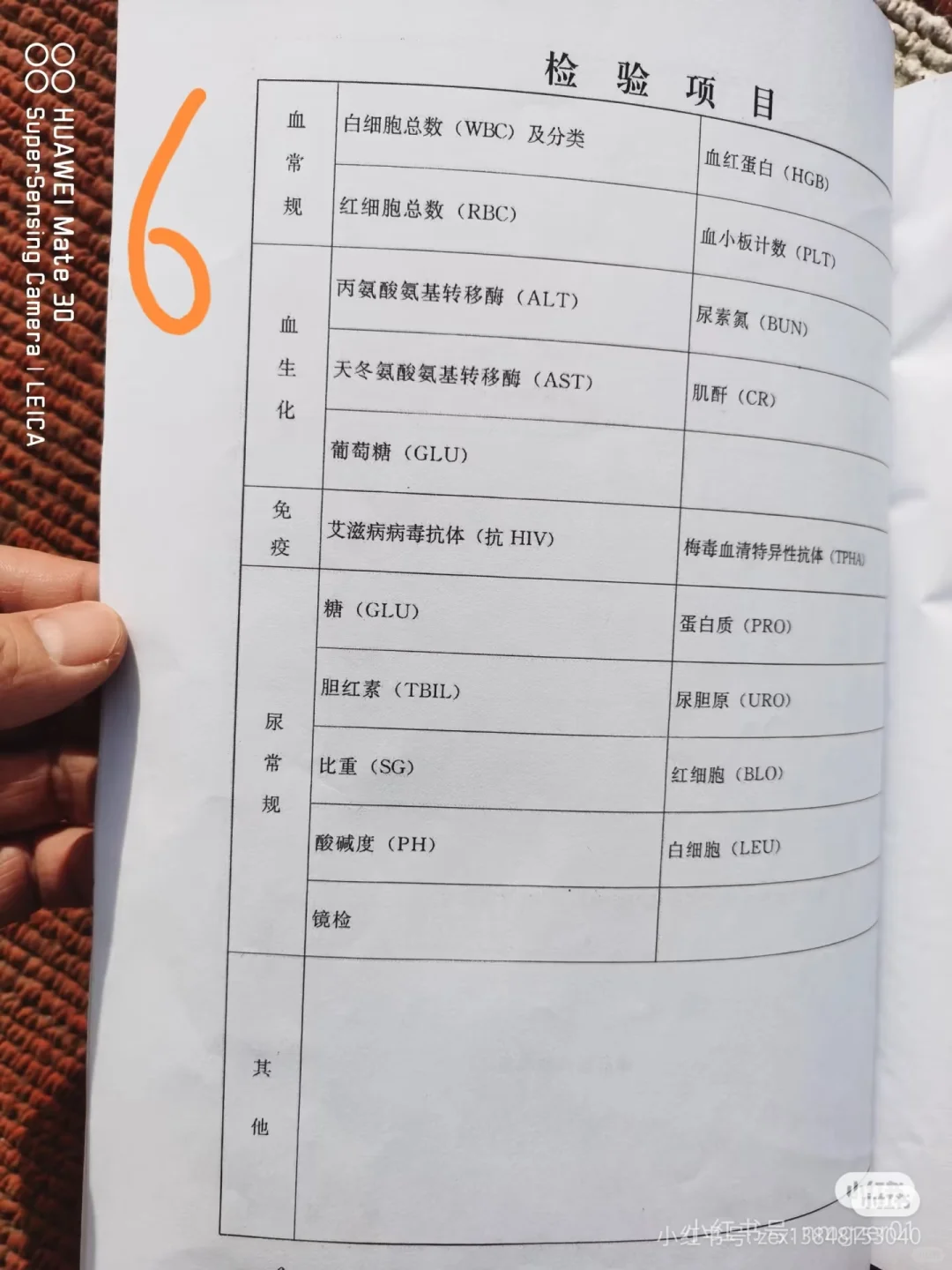 内蒙古事业单位体检明细