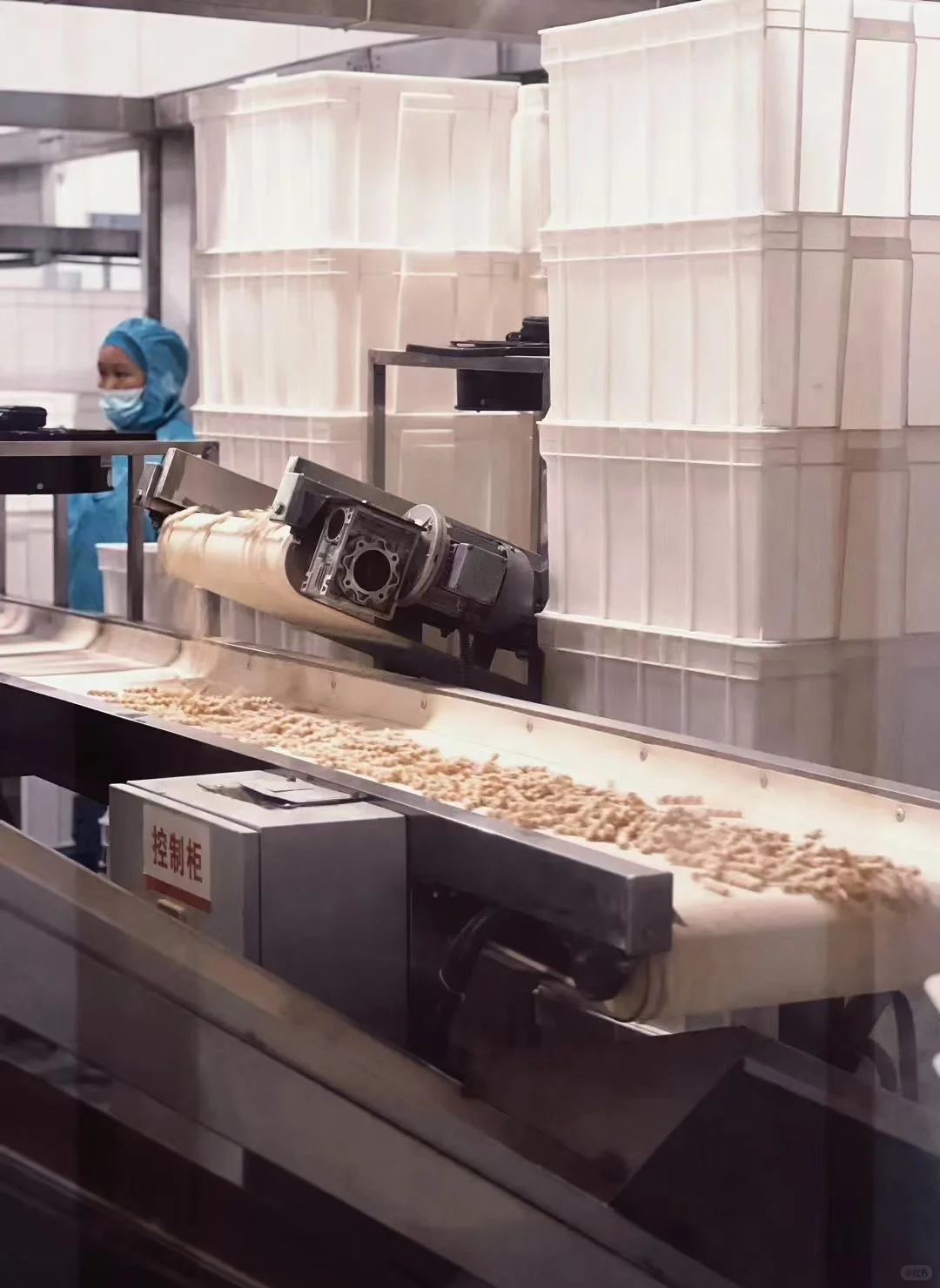 食品加工厂探秘?看图就明白了‼️