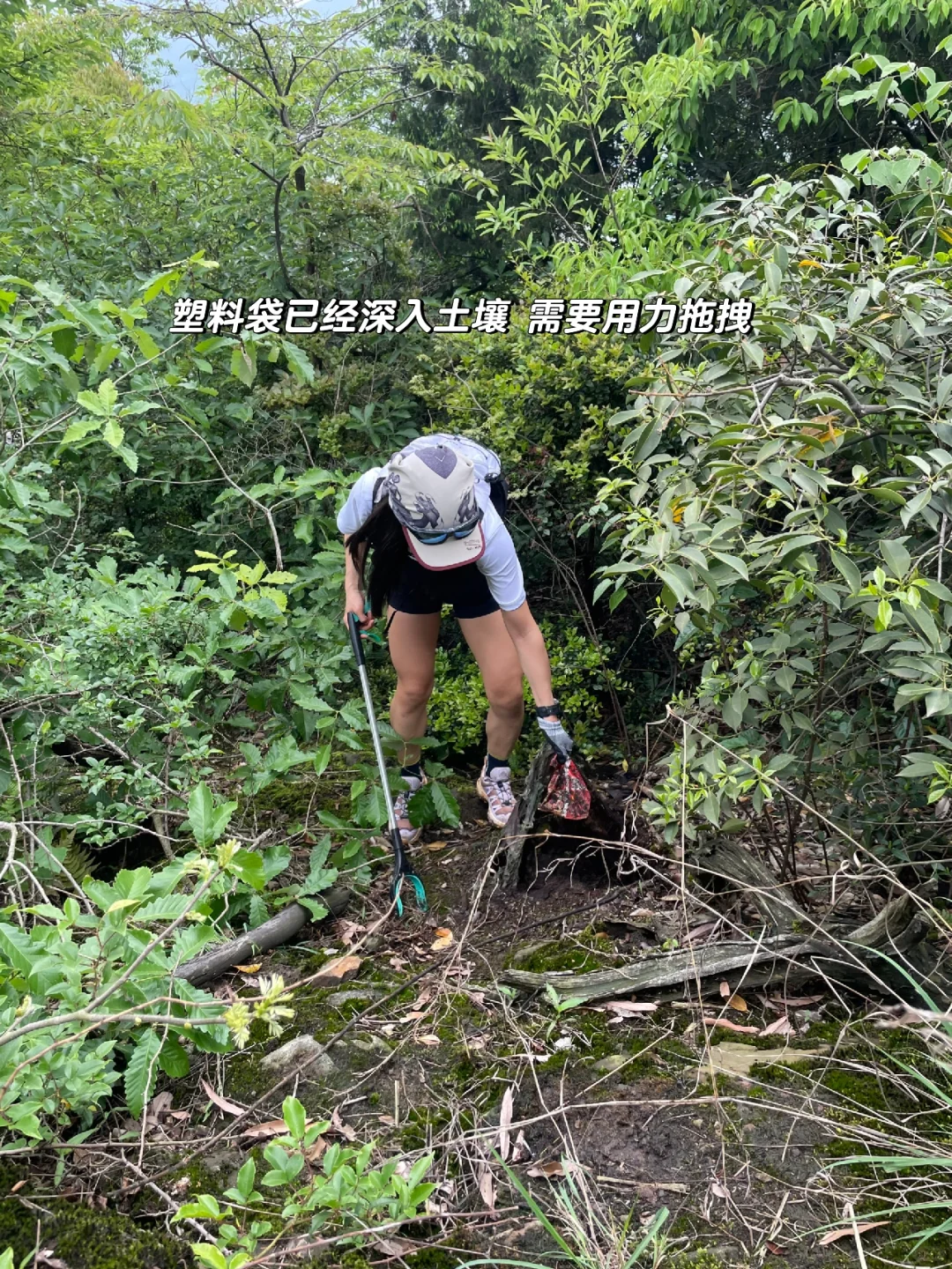 如果这个周末 你也进山