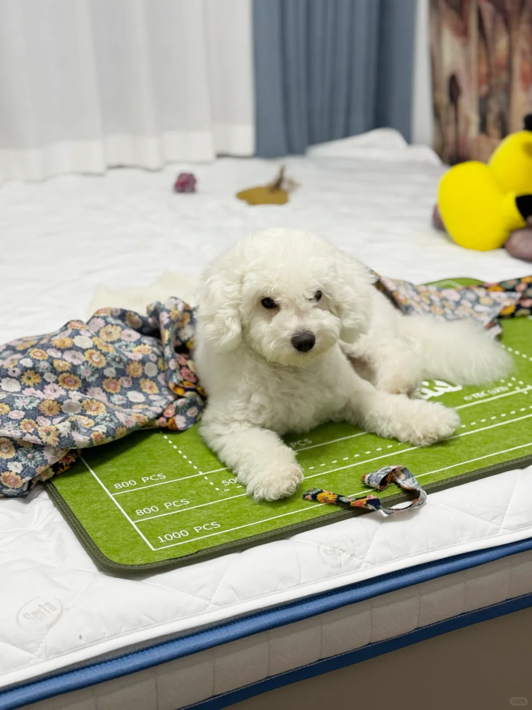 隐形拉链是不是不能撕开