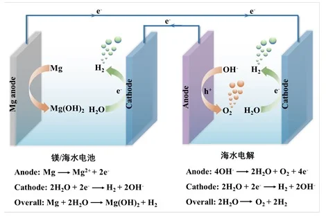 中国实现海水制氢技术的现象级突破‼️