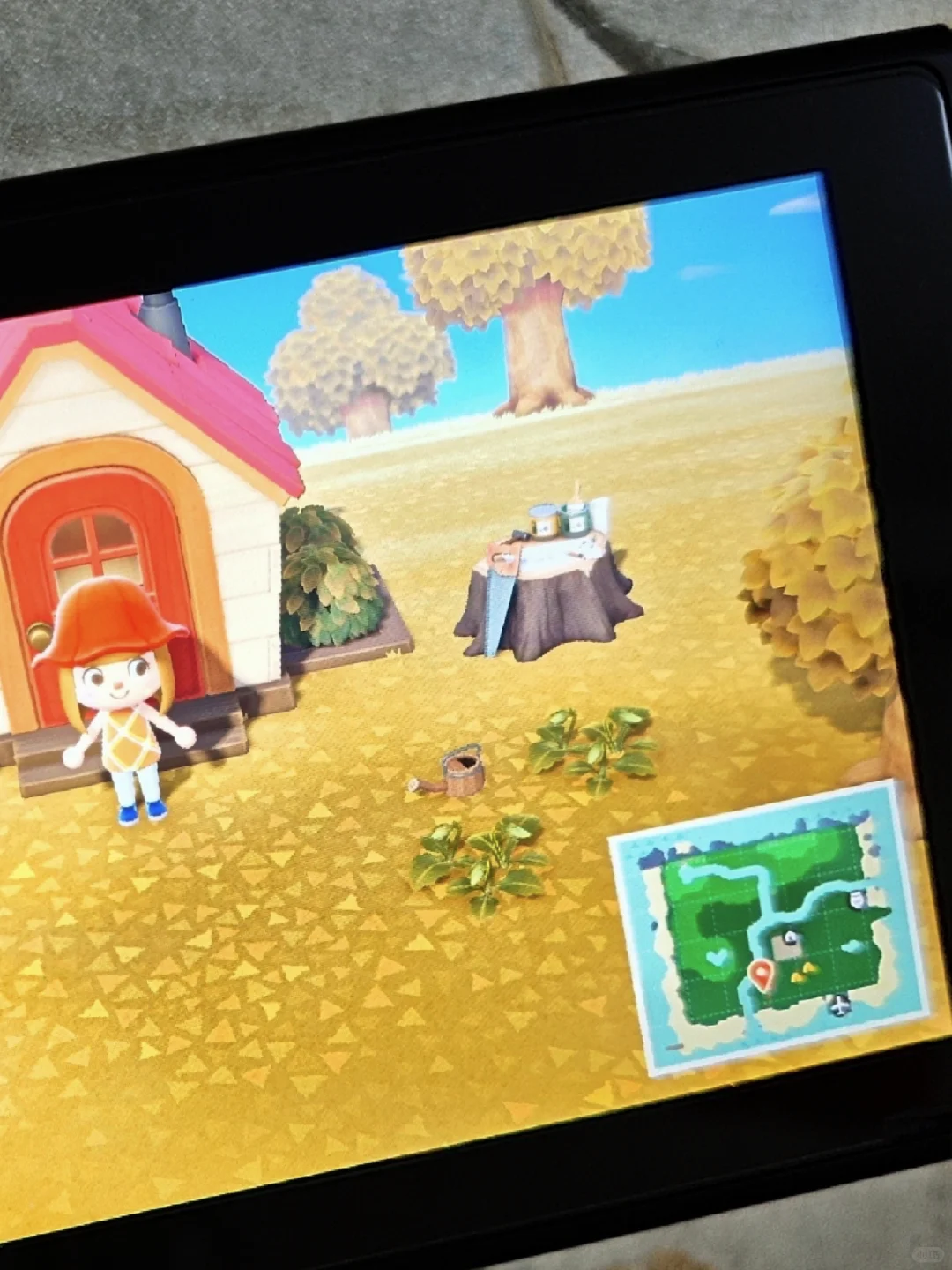 动森第二天这岛布局还行吗？