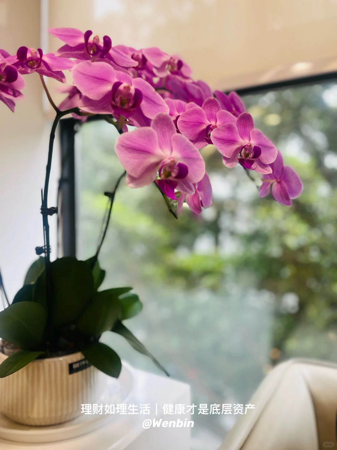 理财如理生活｜健康才是底层资产