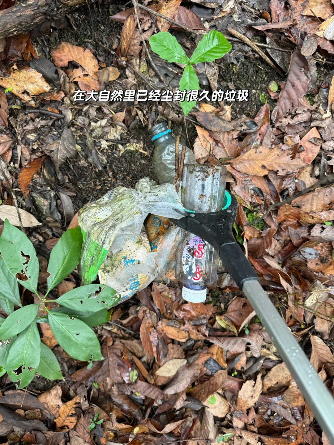 如果这个周末 你也进山