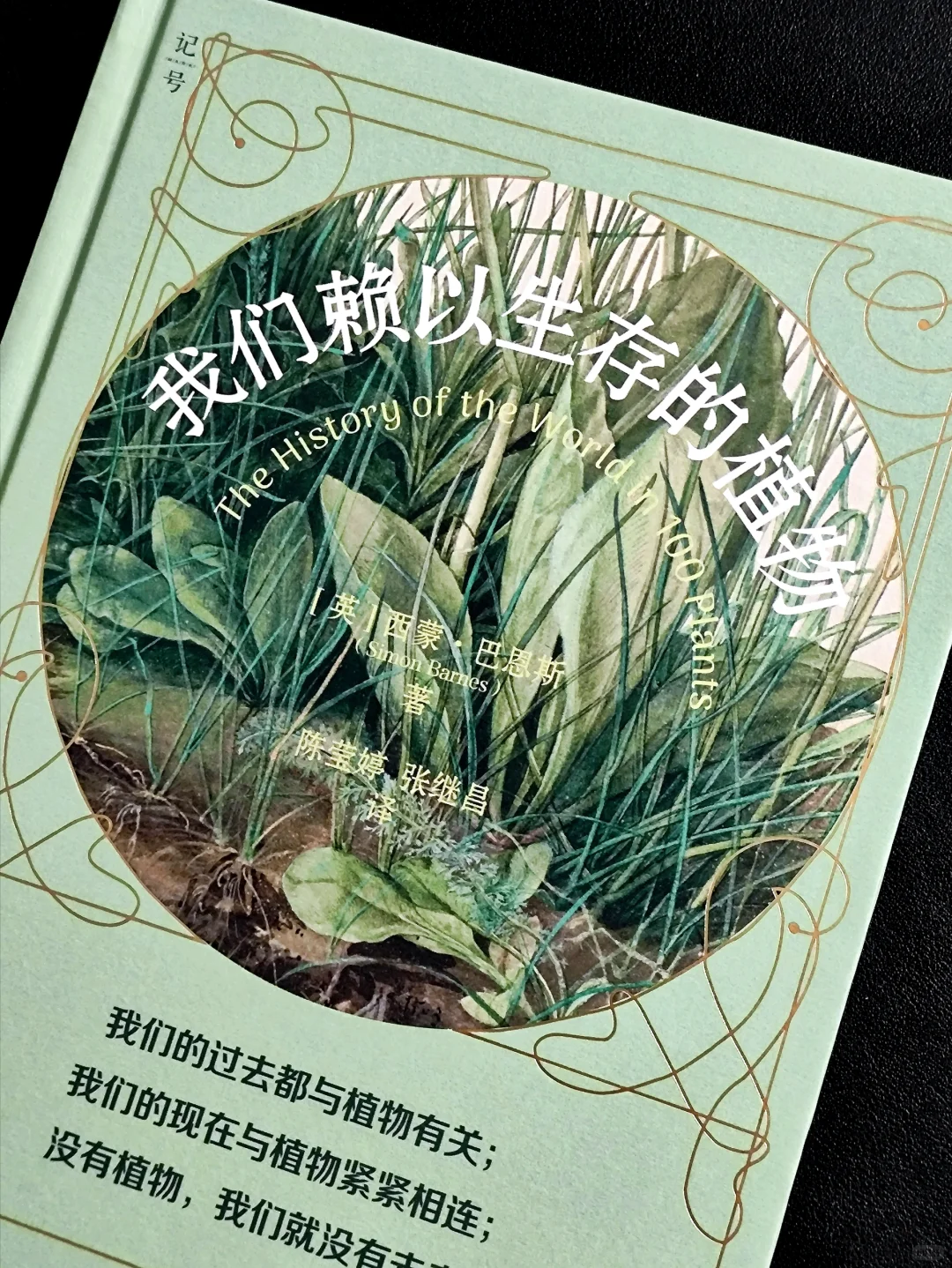 无言的陪伴:植物如何塑造人类文明❓