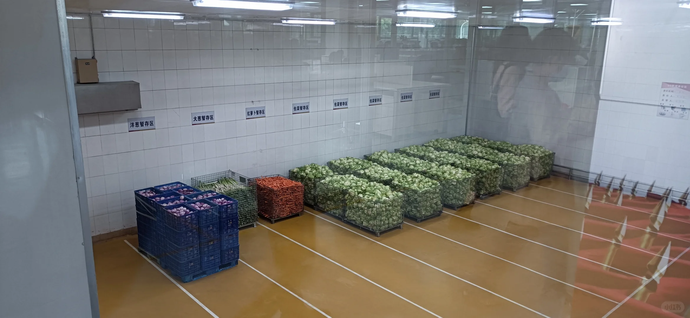 饺子汤圆能自动化生产，粽子需要人工包