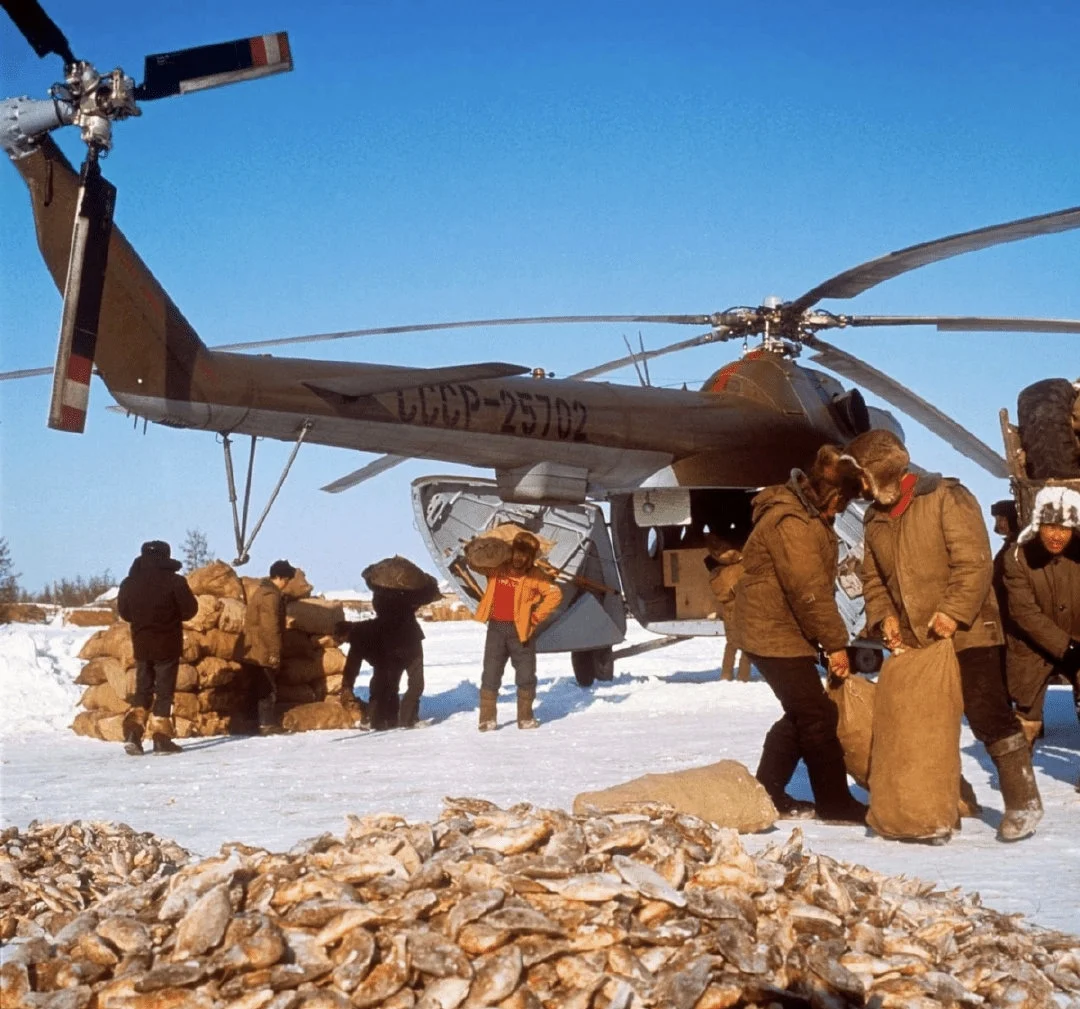苏联民航米8直升机运输冻鱼