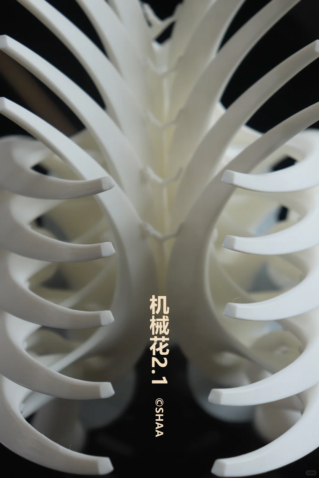 这打印出来简直就是艺术品