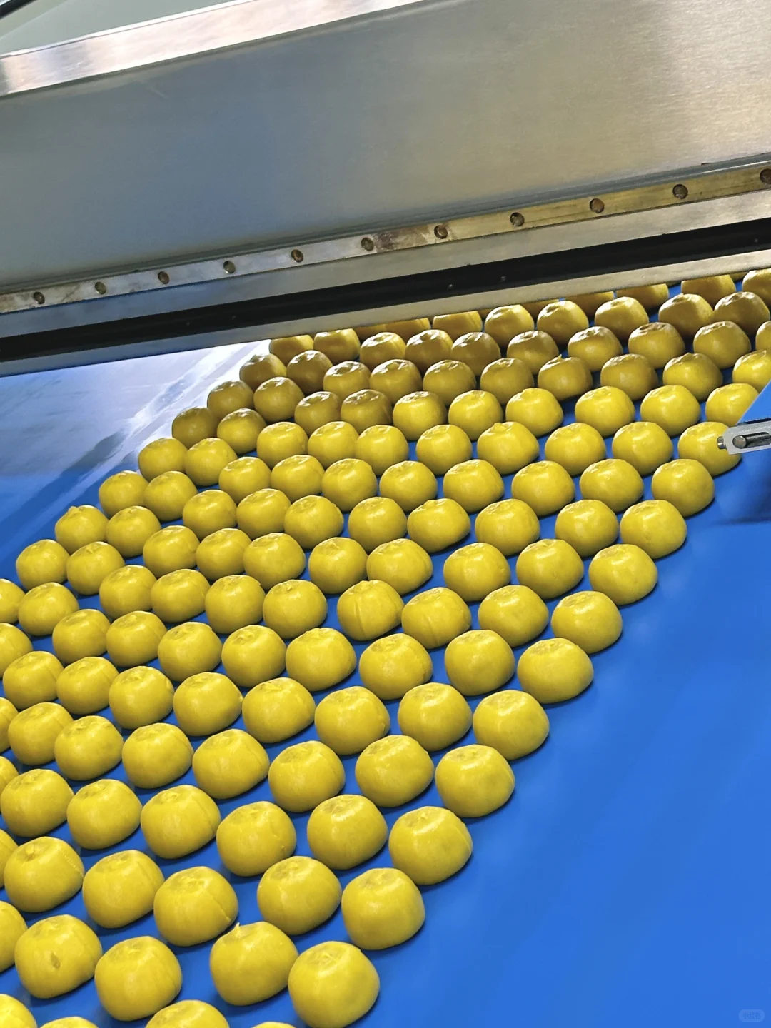 在盒马工厂找到了i人理想工作