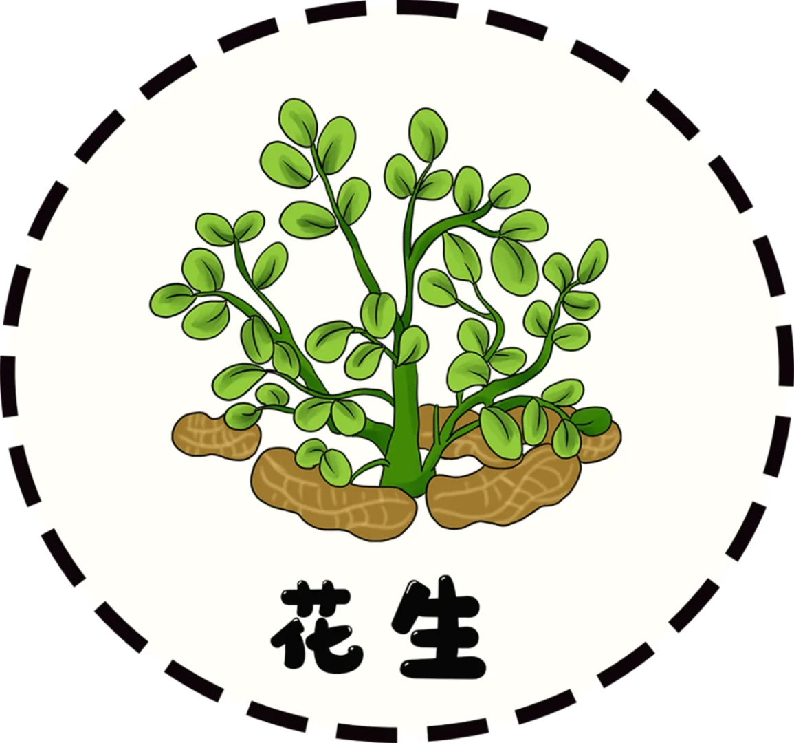 秋天的农作物 可打印