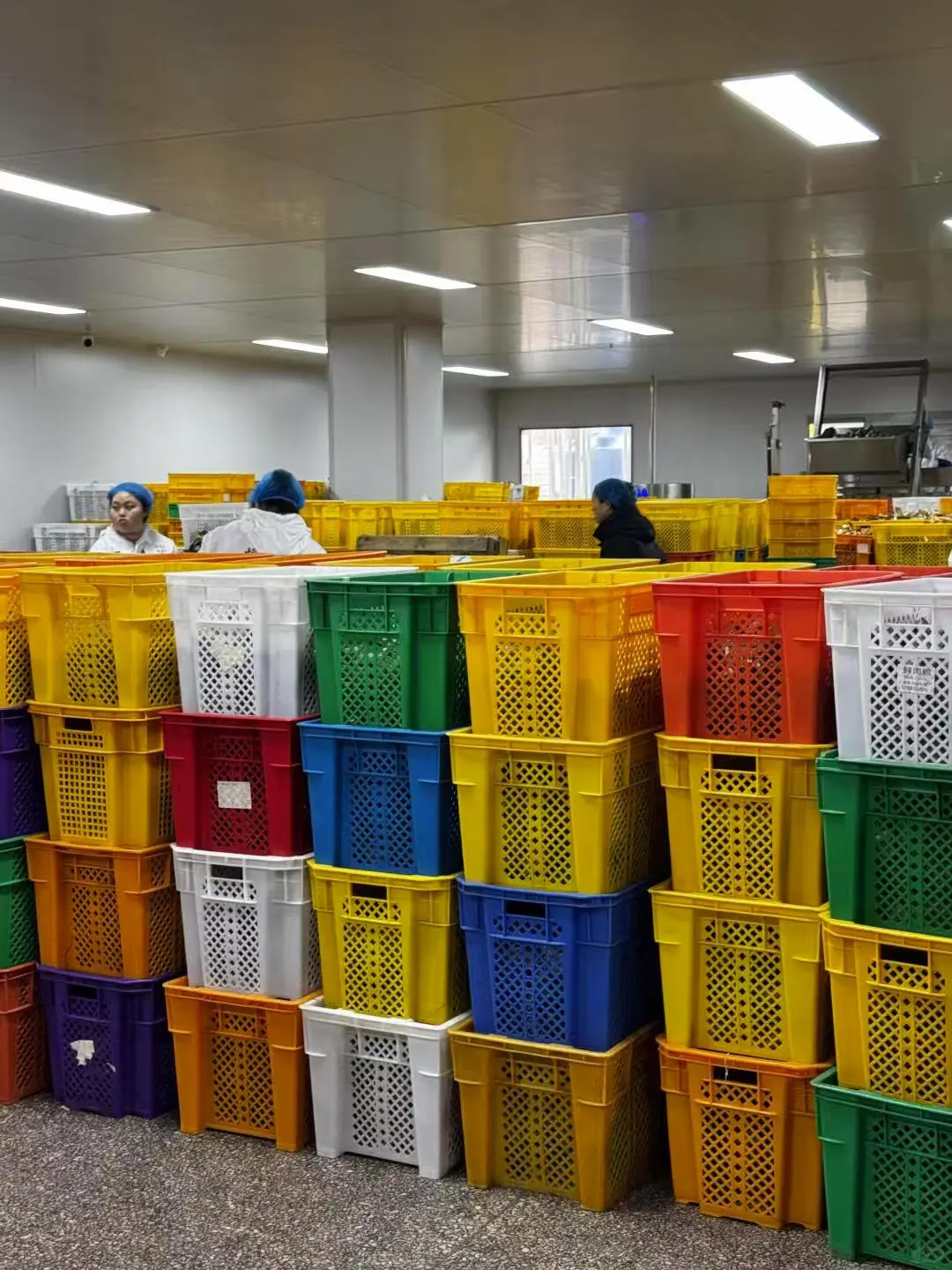 ??【粽子流水线实拍！粽子界的富士康