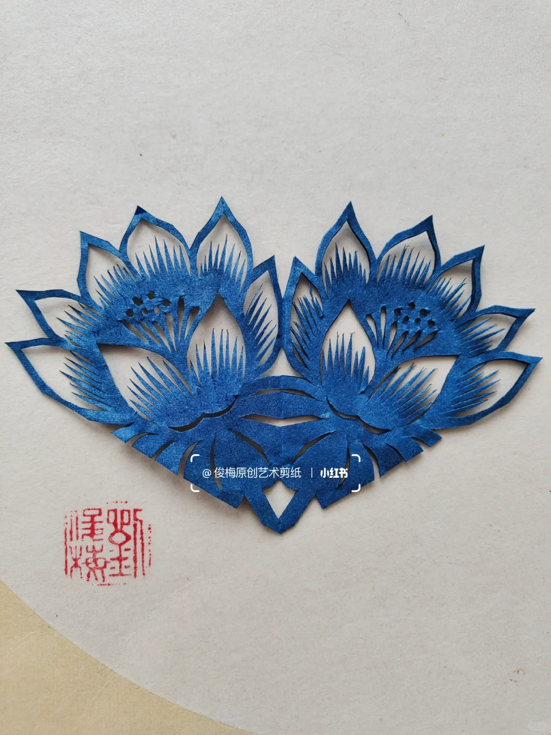 每日一剪｜夏之荷