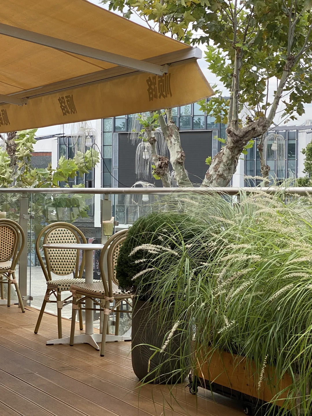 我会在早晨九点去咖啡馆读书。