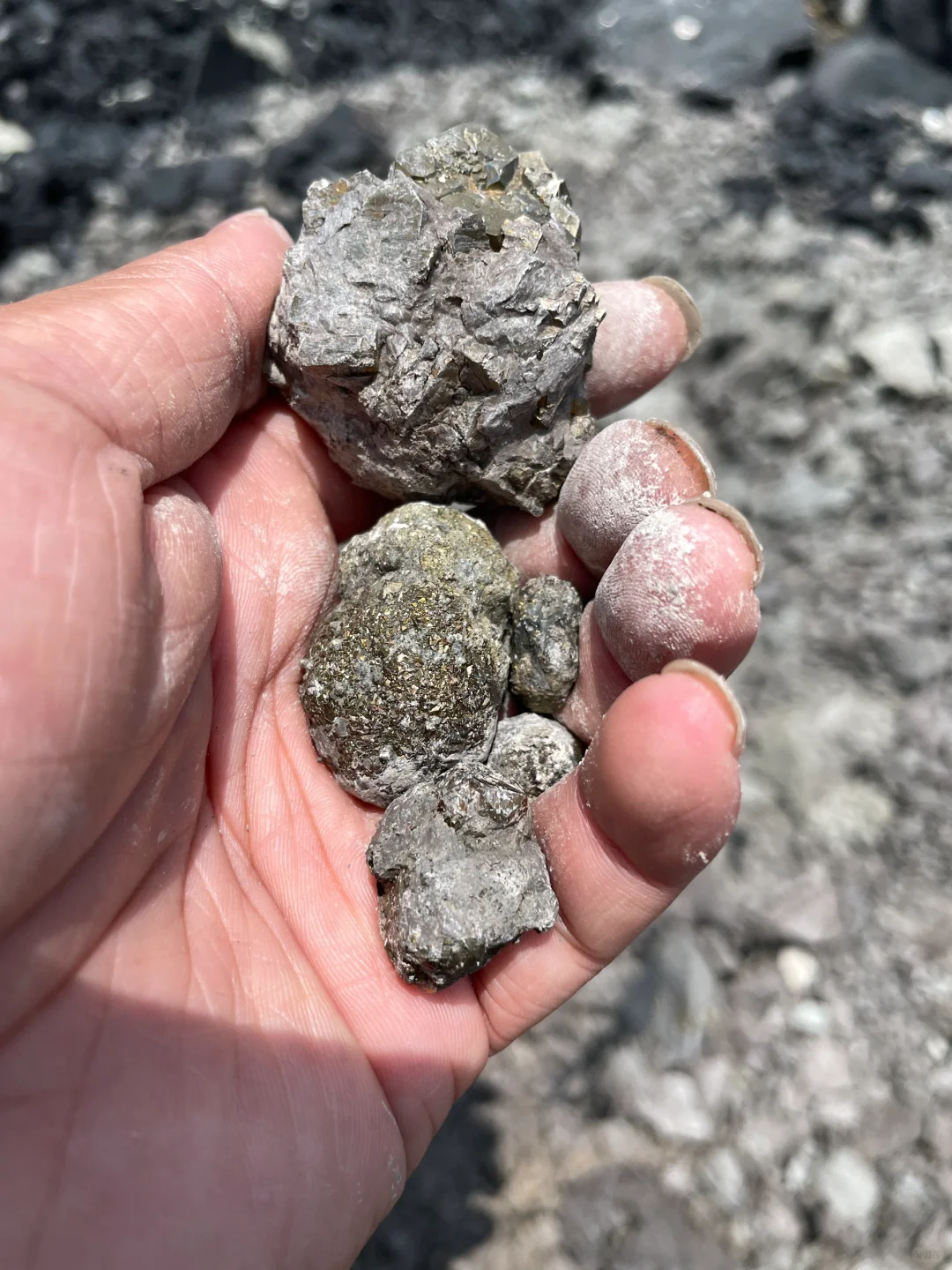 黄金矿工，采集自江苏句容灰岩里的“金疙瘩”