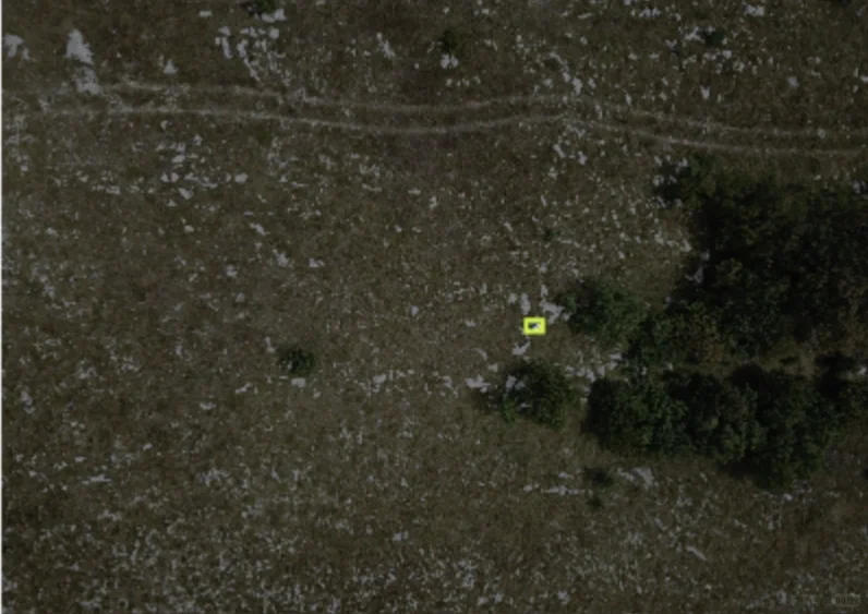 无人机巡检航拍搜救数据集 无人机人体检测