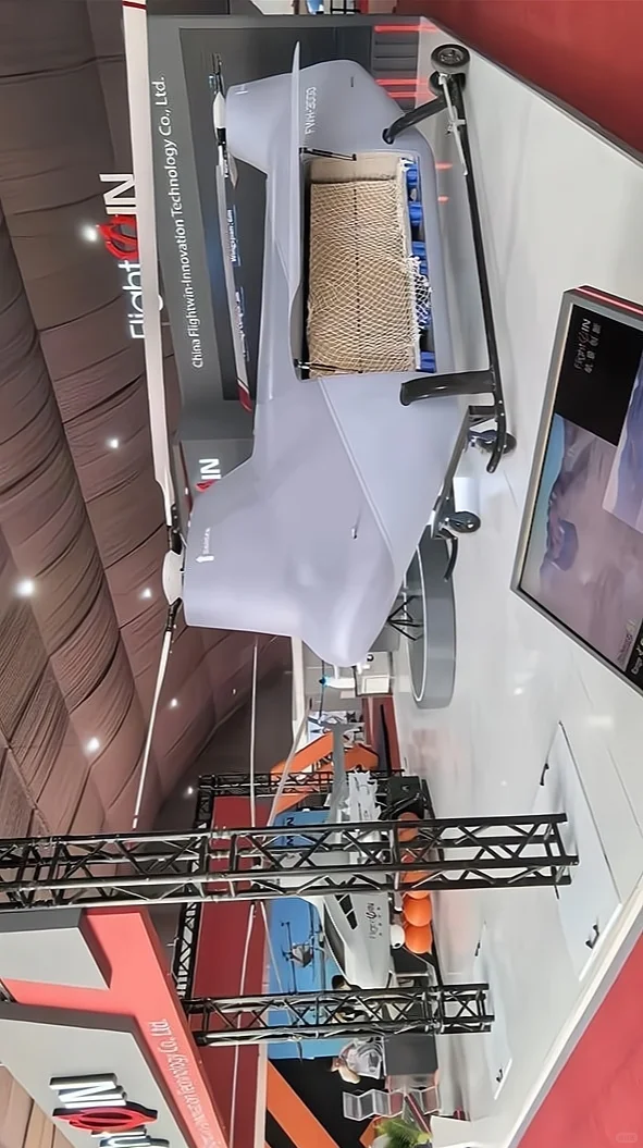 中国无人版“支奴干”