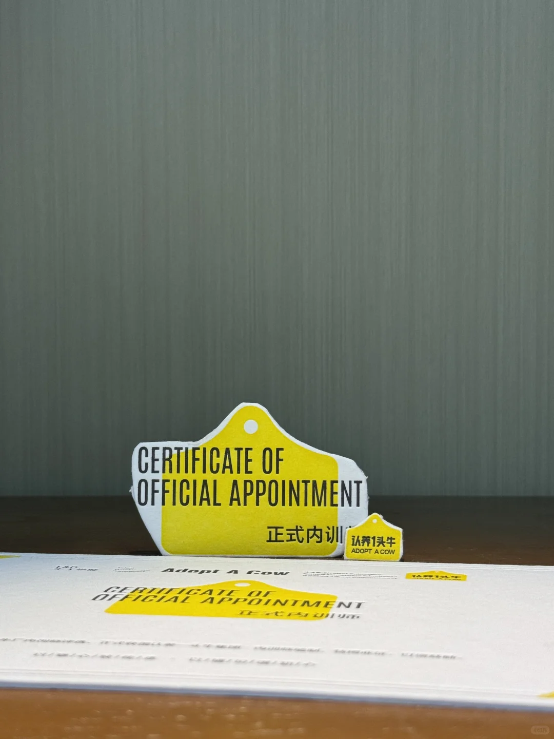 做证书认养一头牛