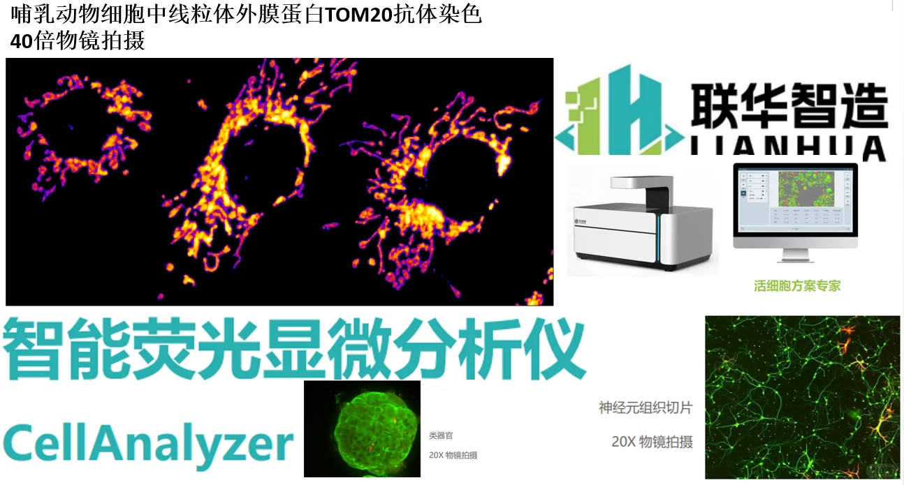 智能荧光显微分析仪能否PK共聚焦显微镜？！