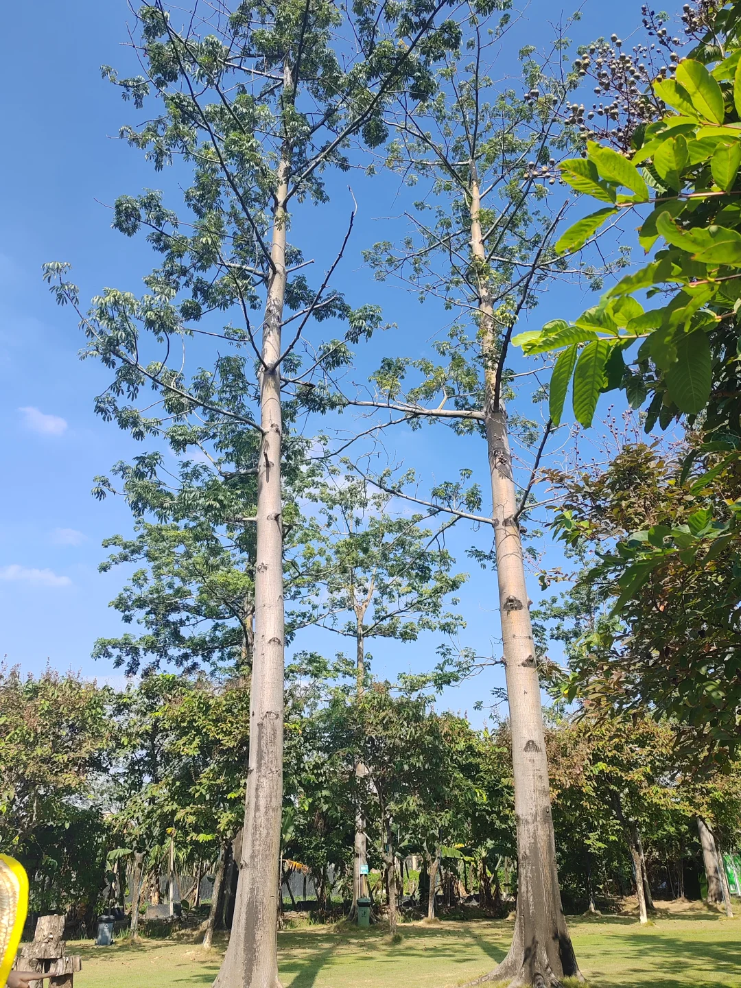 “听袁爷爷的话,好好吃饭,好好长大”