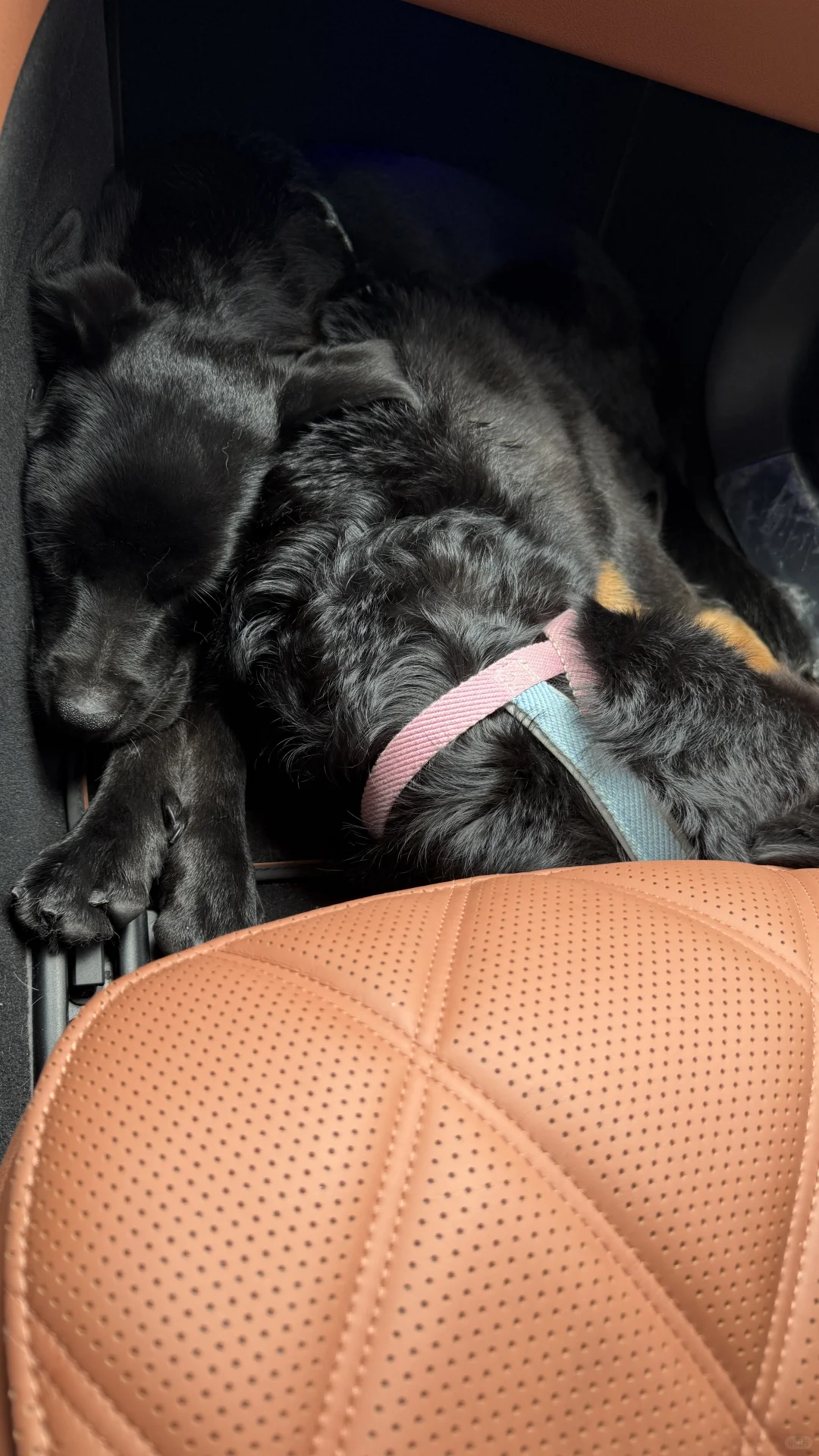 冰冻果冻真好吃